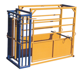 Econ-o-matic cattle chute with automatic head gate and swinging side doors